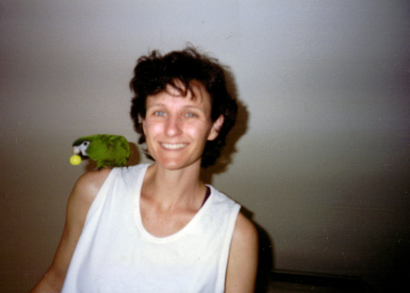 Image gallery image